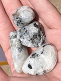 Tumble Piedra Luna / Moonstone Tumble