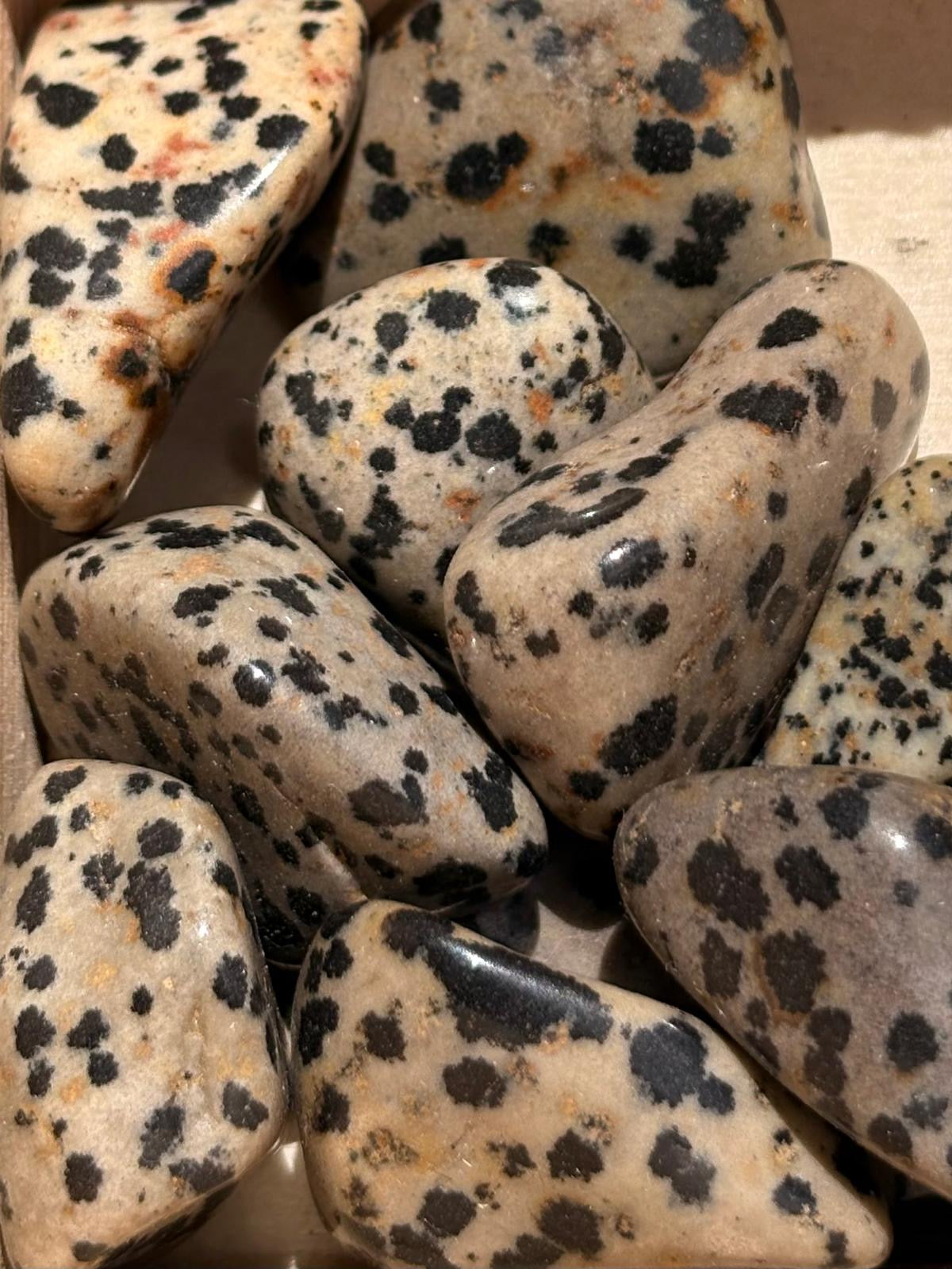Tumble Jaspe Dálmata / Dalmatian Jasper Tumble