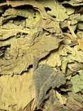 Hoja de Arándano ( 1 Scoop )