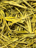 Oja de Clavo ( 1 Scoop )