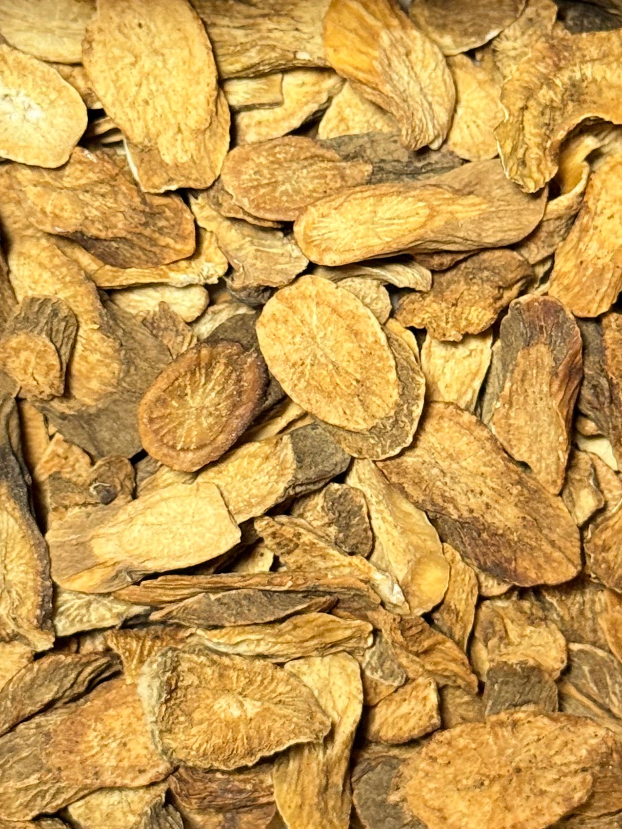Bardana | Arctium Lappa ( 1 Scoop )