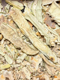 Cactus ( 1 Scoop )
