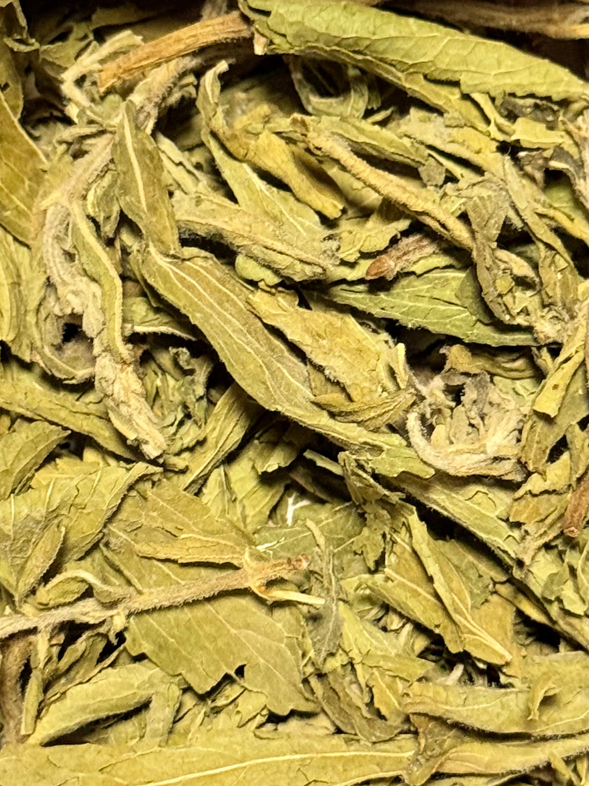 Estevia ( 1 Scoop )