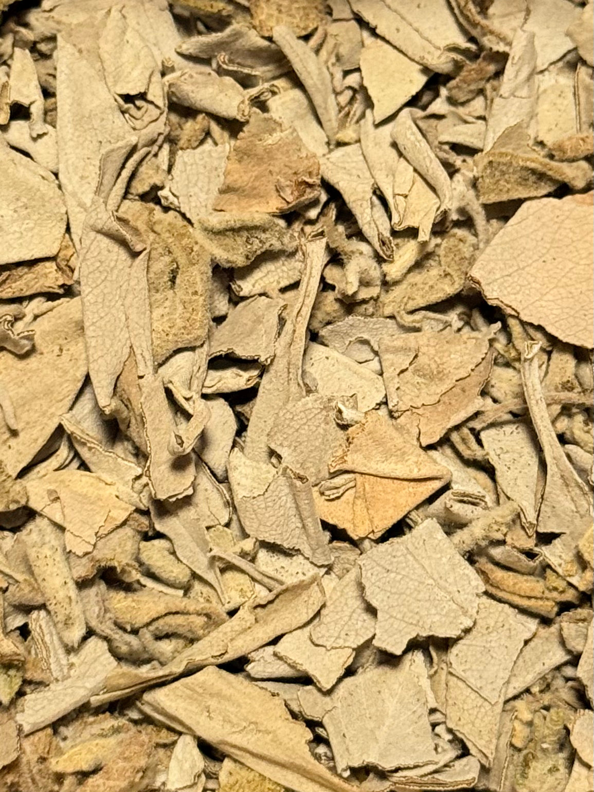 Salvia ( 1 Scoop )