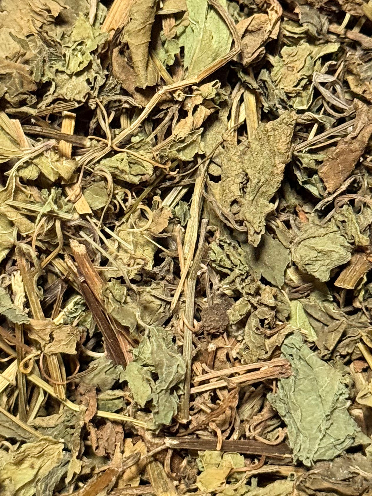 Jiaogulan ( 1 Scoop )