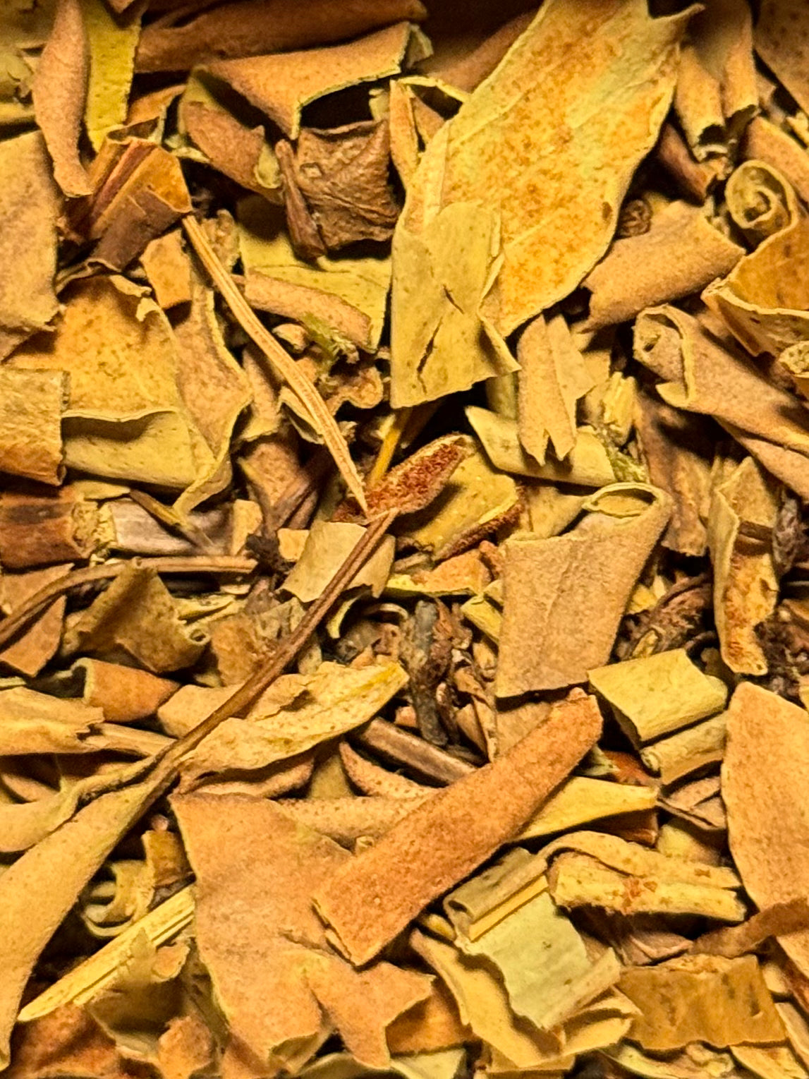 Hoja de Pyrrosia ( 1 Scoop )