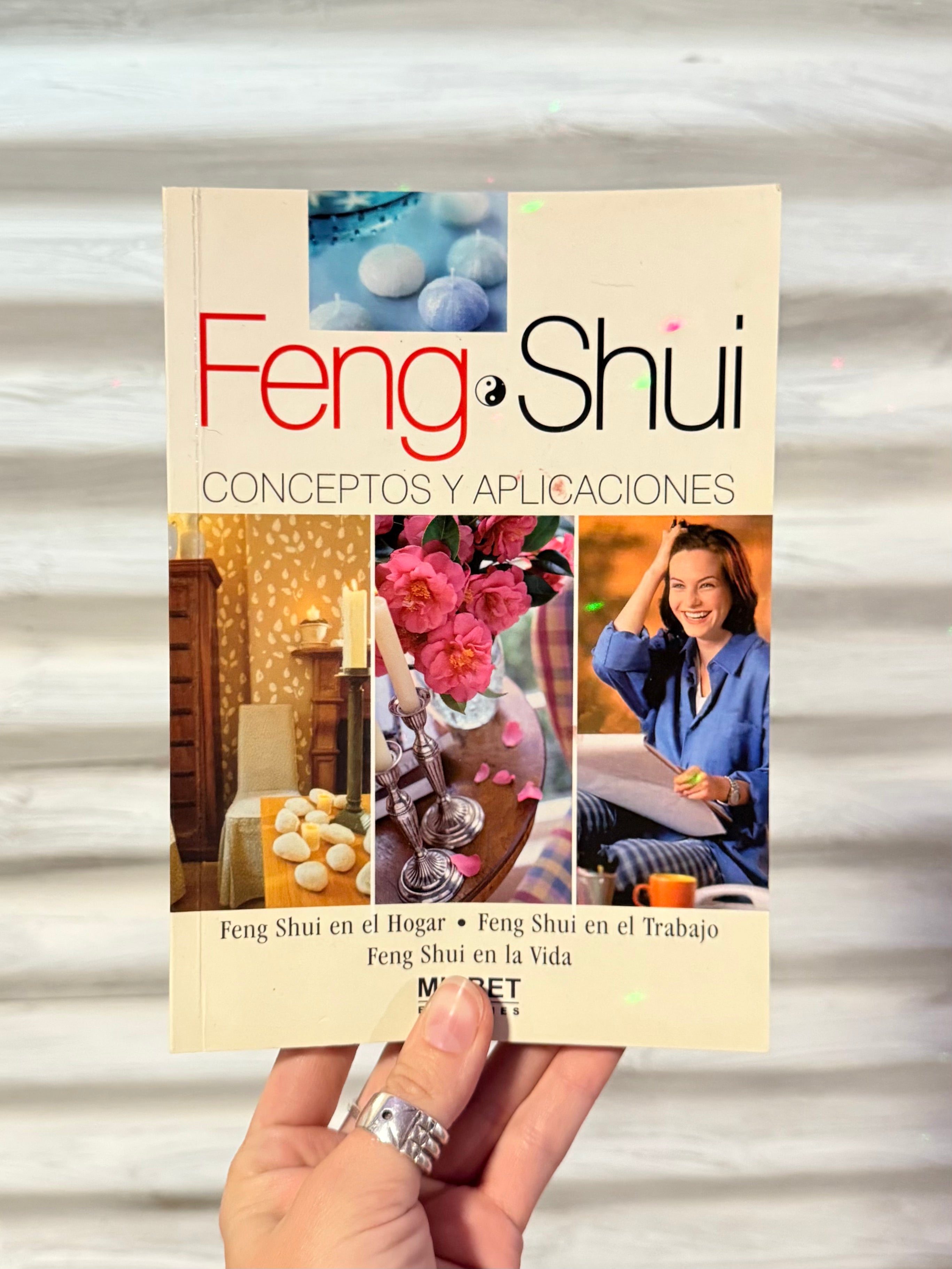 Feng Shui: Conceptos y Aplicaciones ( En Español )