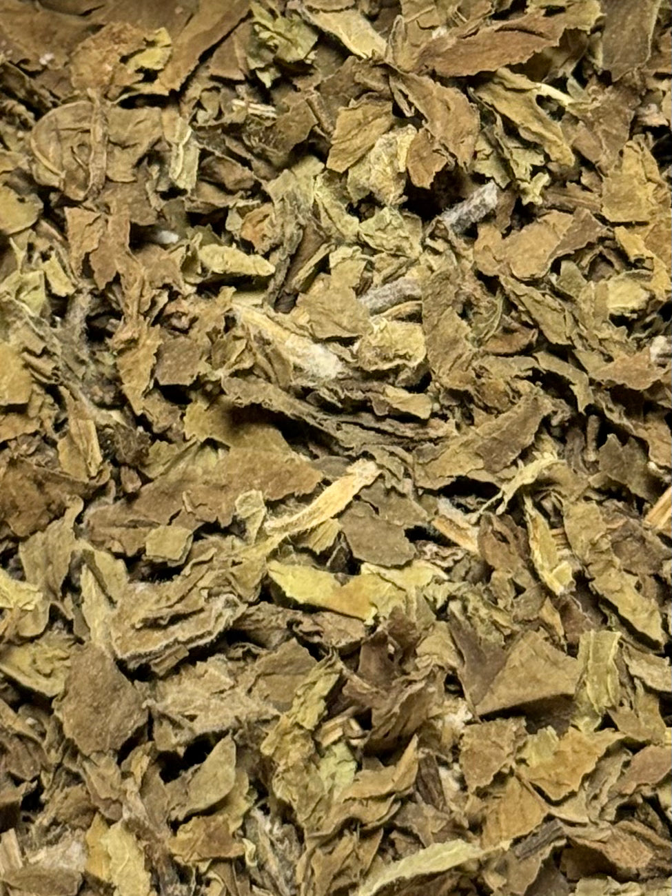 Menta Piperita ( 1 Scoop )