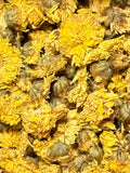 Crisantemo Amarillo ( 1 Scoop )