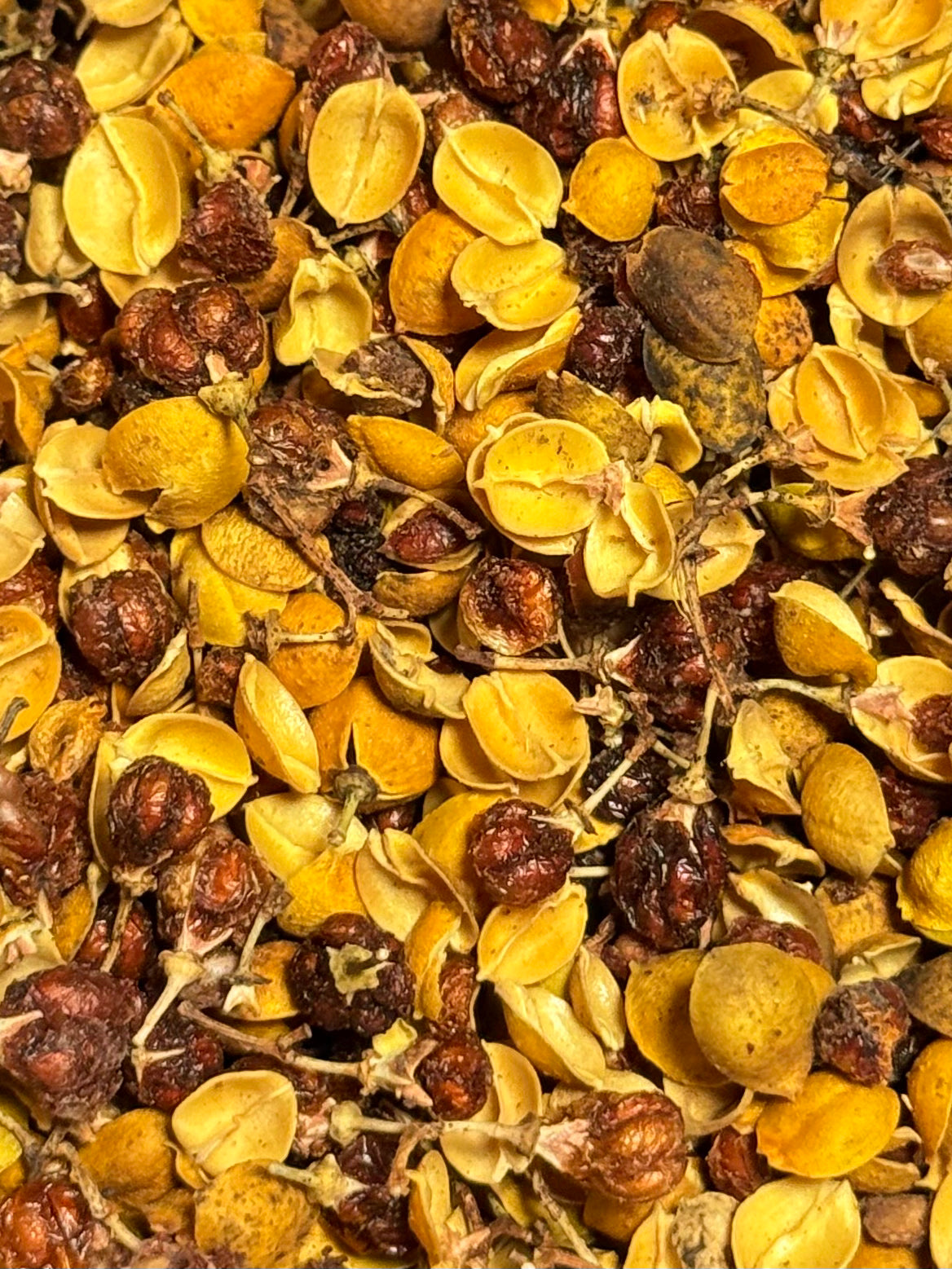 Flor de Albizia  ( 1 Scoop )