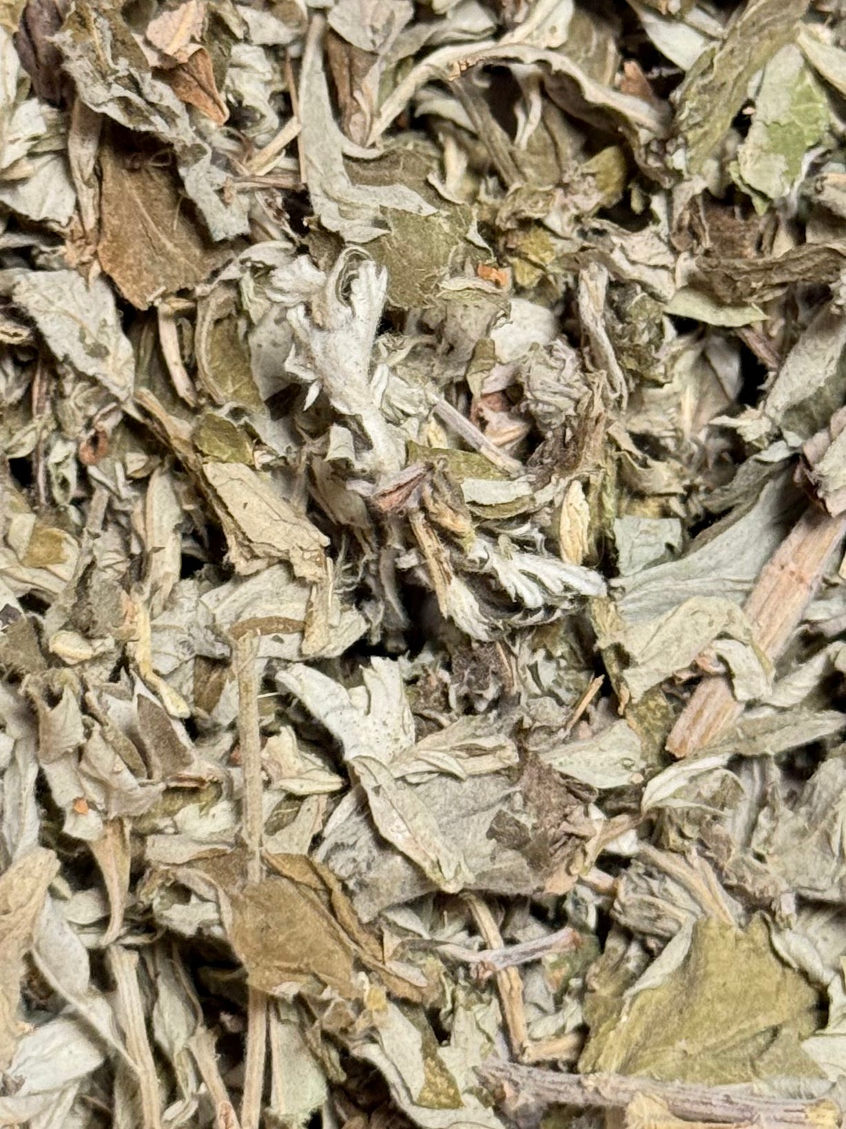Artemisa ( 1 Scoop )