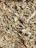 Potentilla Chinensis ( 1 Scoop )