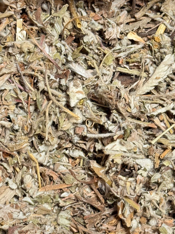 Potentilla Chinensis ( 1 Scoop )