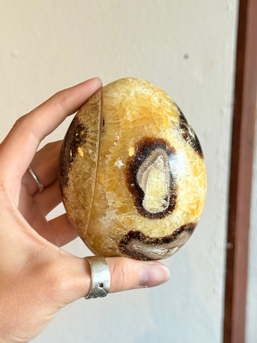 Septarian Freeform / Septarian Freeform