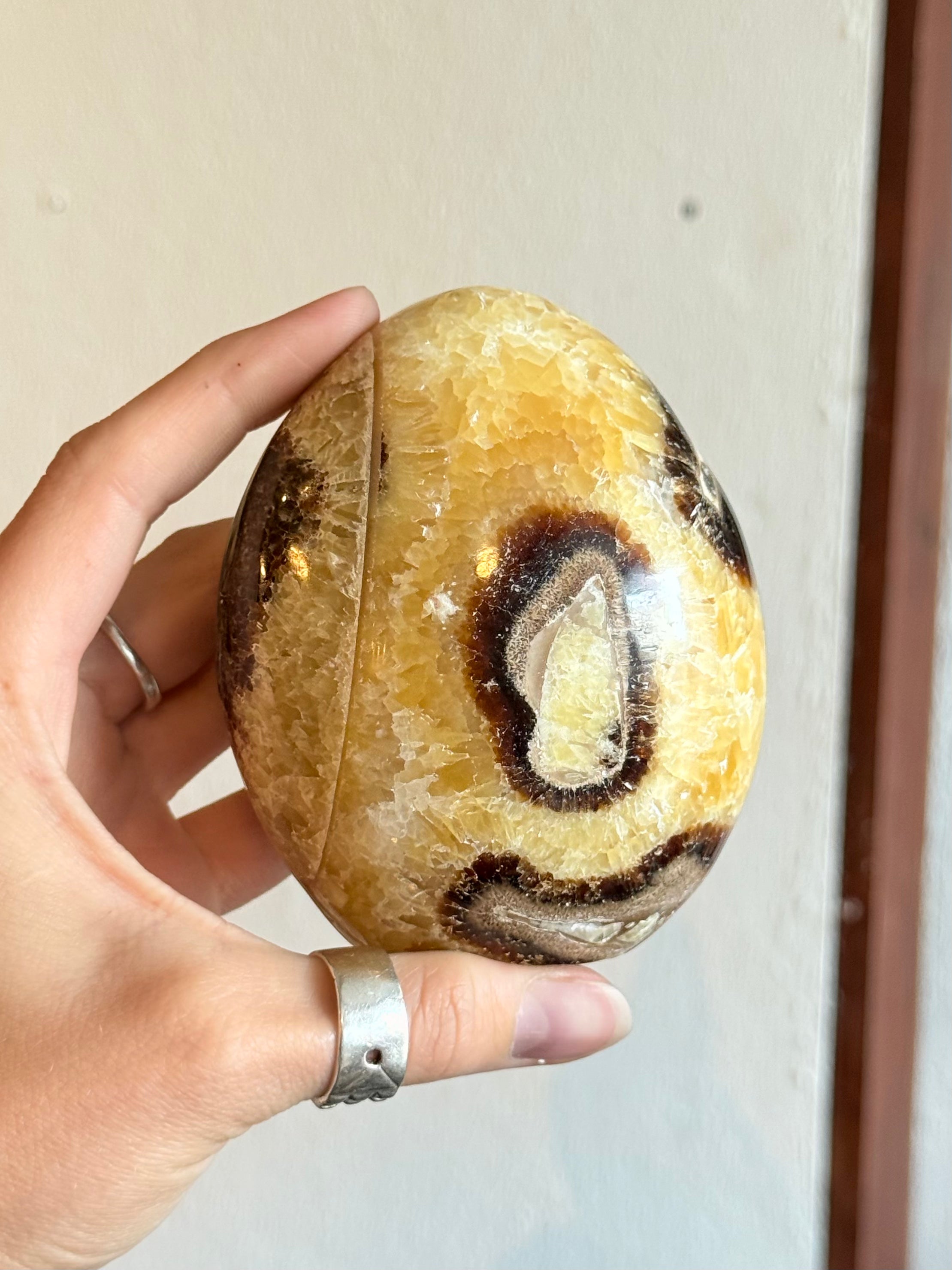 Septarian Freeform / Septarian Freeform