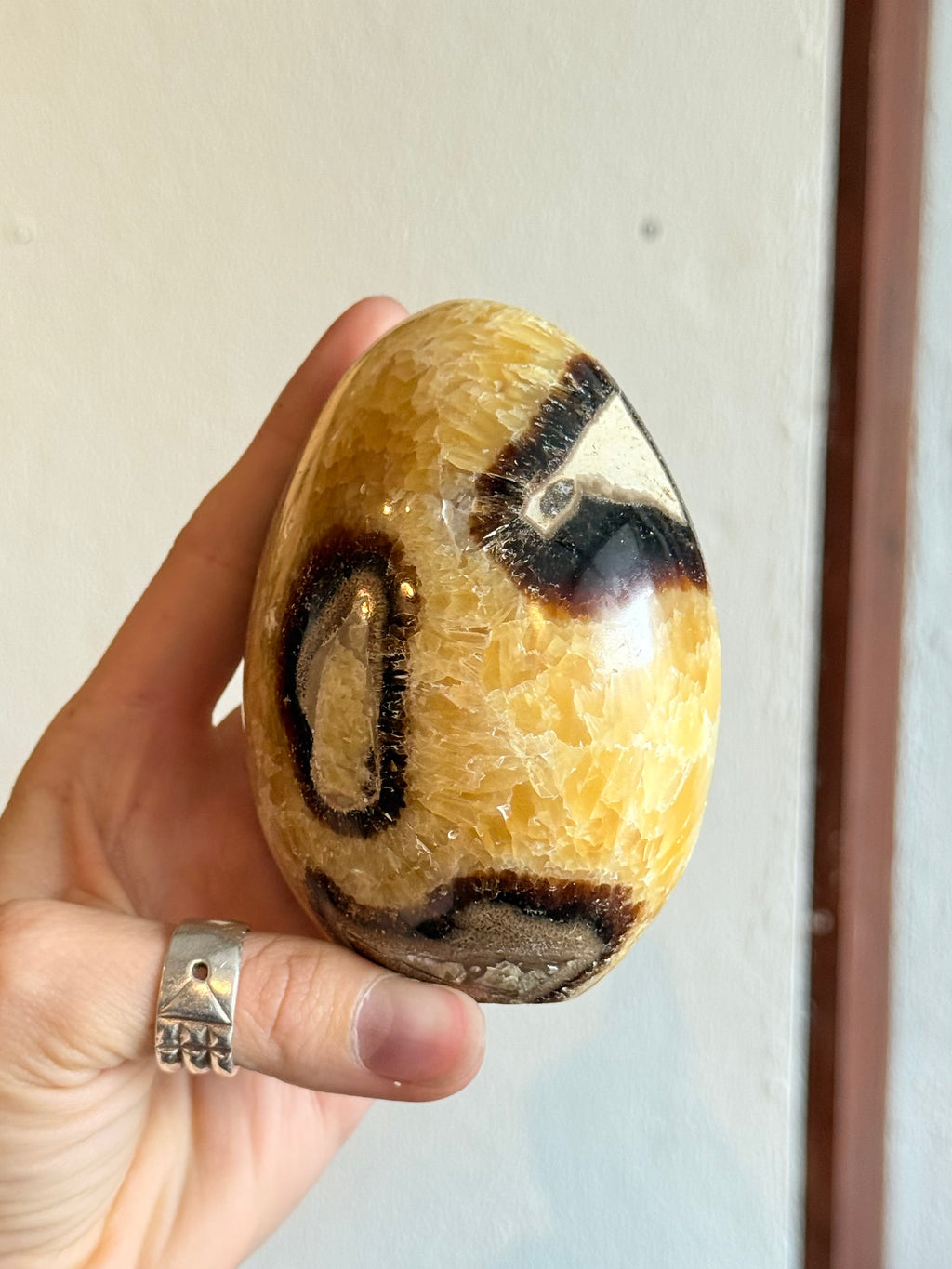 Septarian Freeform / Septarian Freeform