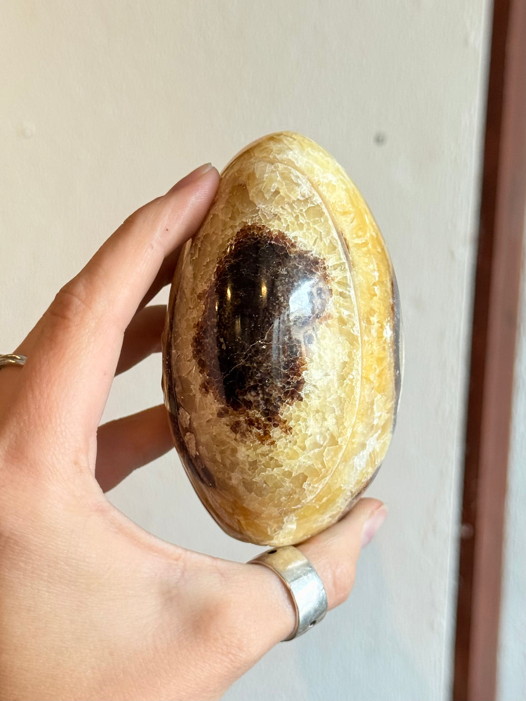Septarian Freeform / Septarian Freeform