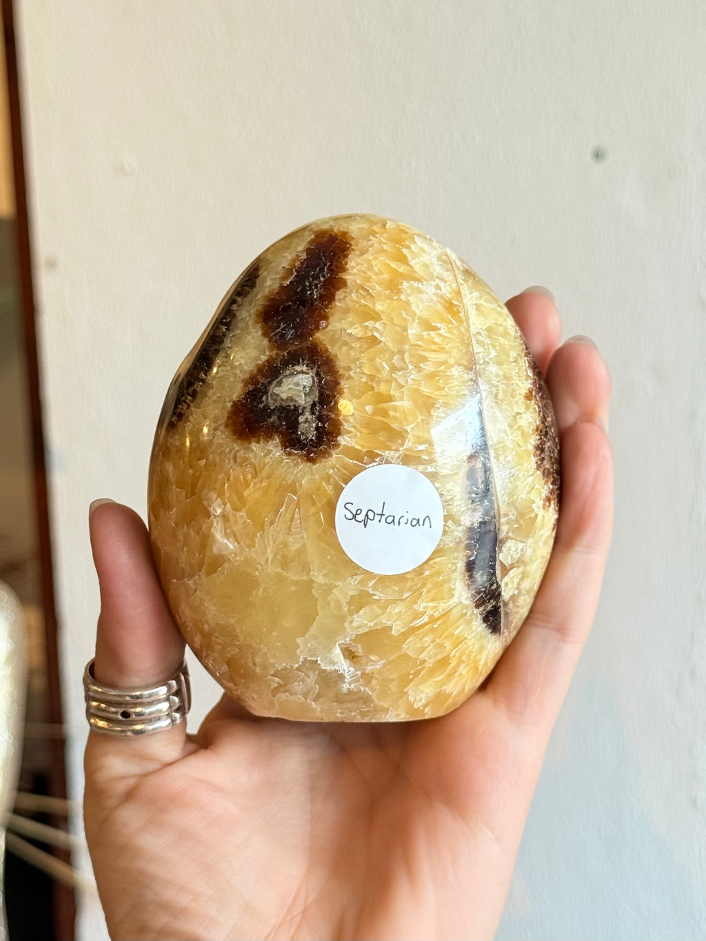 Septarian Freeform / Septarian Freeform