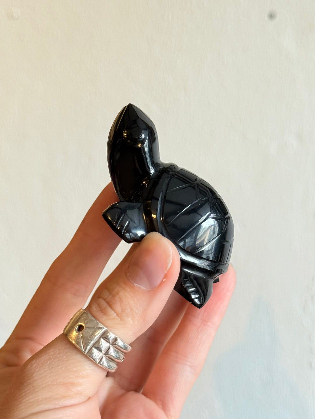 Tortuga de Obsidiana / Obsidian Turtle