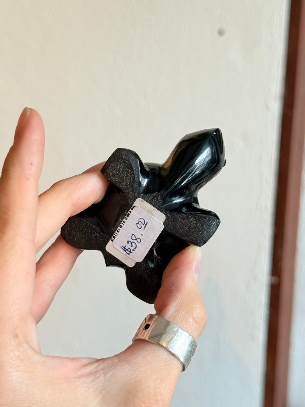 Tortuga de Obsidiana / Obsidian Turtle